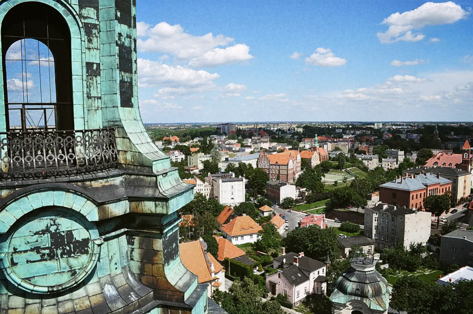Zielona okolica Hotelu Feniks w Gnieźnie